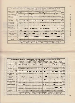 p. 10