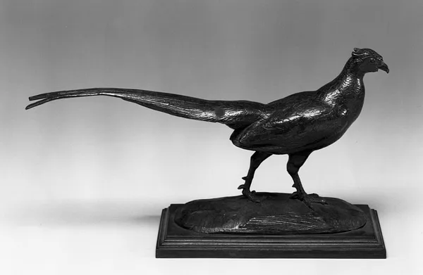 Pheasant