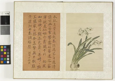 p. 16