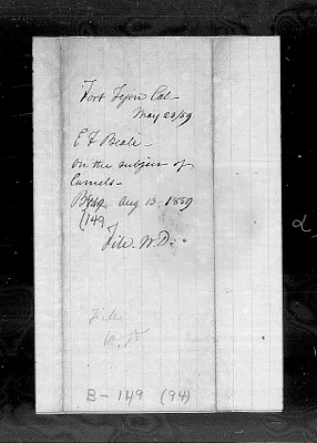p. 46