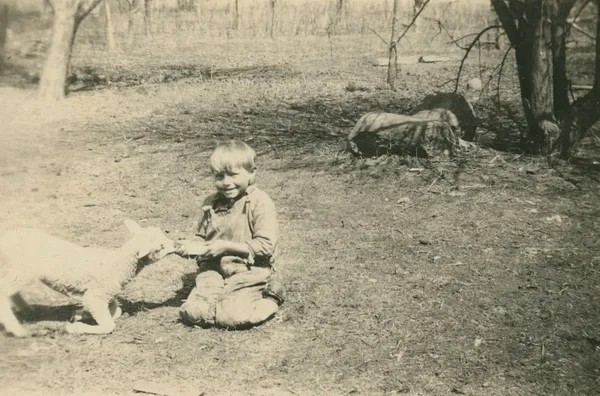 Barney Marvets is feeding a new lamb, 1920