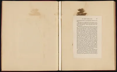 p. 14
