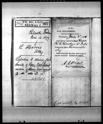 p. 8