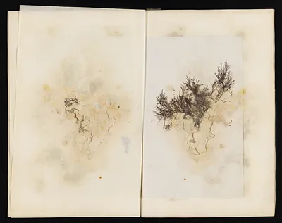 p. 48