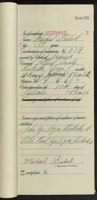p. 4