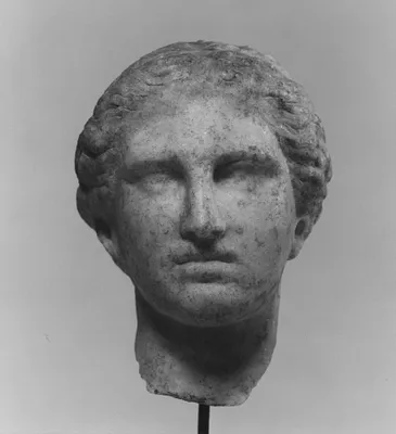 p. 7