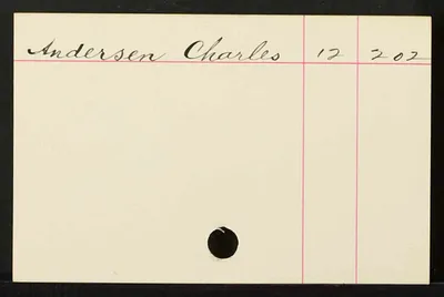 p. 29