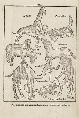 p. 30