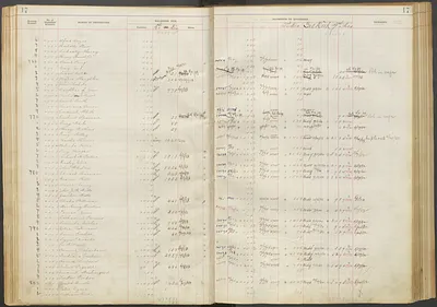 p. 19