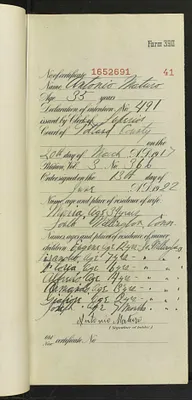 p. 41