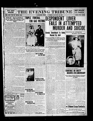 The Evening Tribune