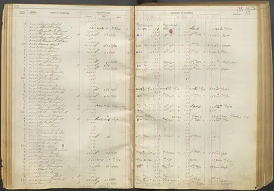 p. 24