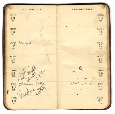 p. 46