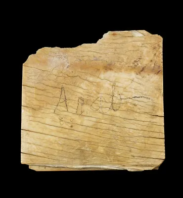 p. 2