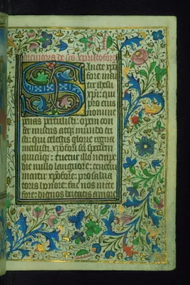 p. 11