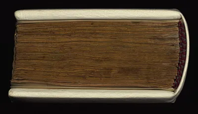p. 6