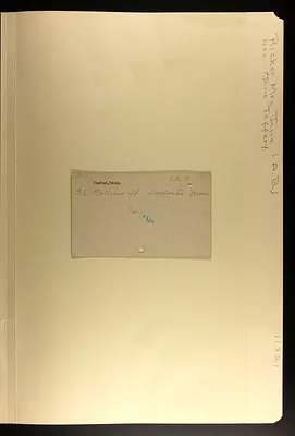 p. 29