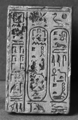 p. 7