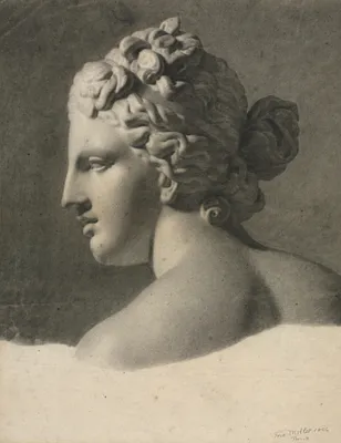 Study of a Plaster Cast (a la bosse)