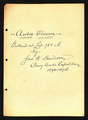 p. 8