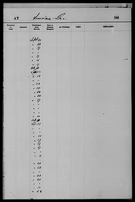 p. 29