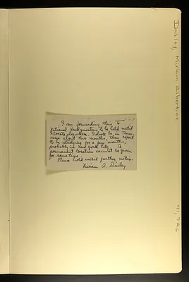 p. 7