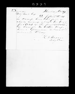 Page 238