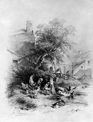 Chickens, Ducks and Farm Buildings