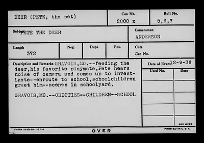 p. 20