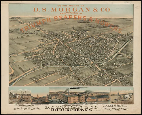 View showing the works of D.S. Morgan & Co., Brockport, N.Y