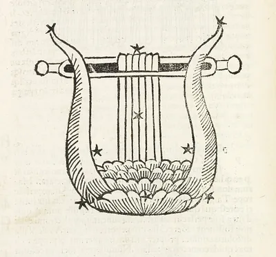 p. 45