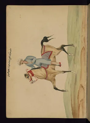 Riding a Horse in Training