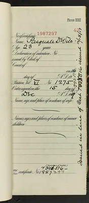 p. 49