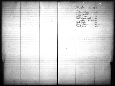 p. 20