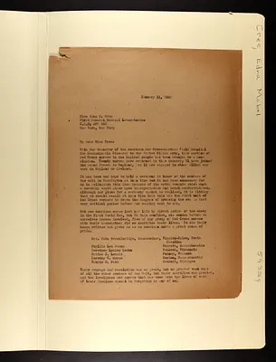 p. 17