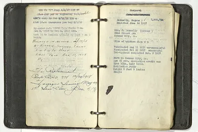 p. 20