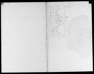p. 7
