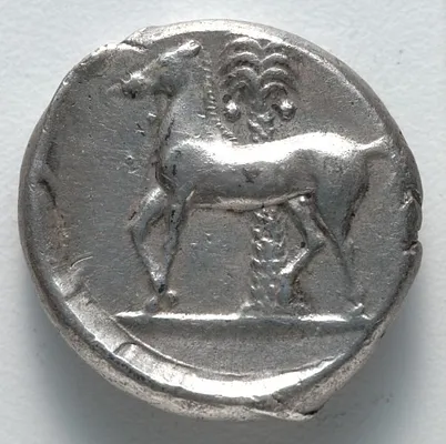 Tetradrachm: Horse (reverse)