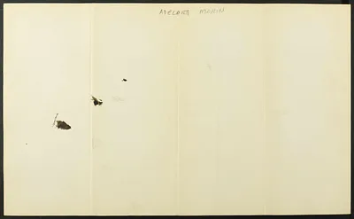 p. 22