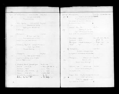 p. 20