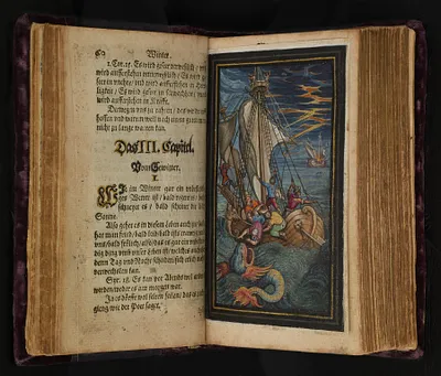 p. 5