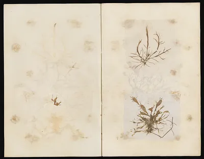 p. 28
