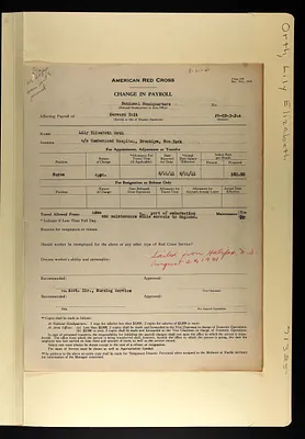 p. 31