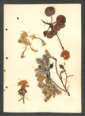 p. 6