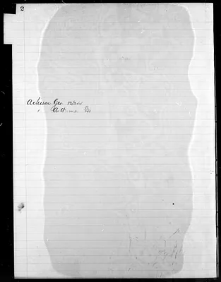p. 8