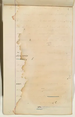 p. 41