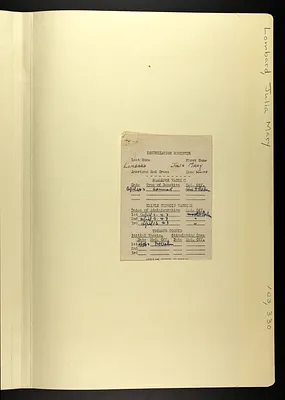 p. 33