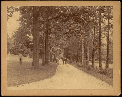 Two women and man with horse in tree-lined drive; people playing tennis on left