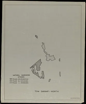 Natural hardwood stands, Tom Swamp-North