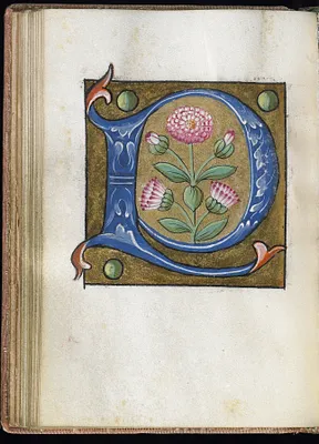 Leaf from Alphabet Book
